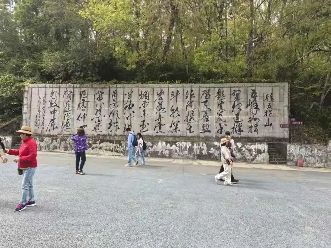 槟榔与歌曲《采槟榔》/刘胜祥/海南岛生物21/2026-02-04