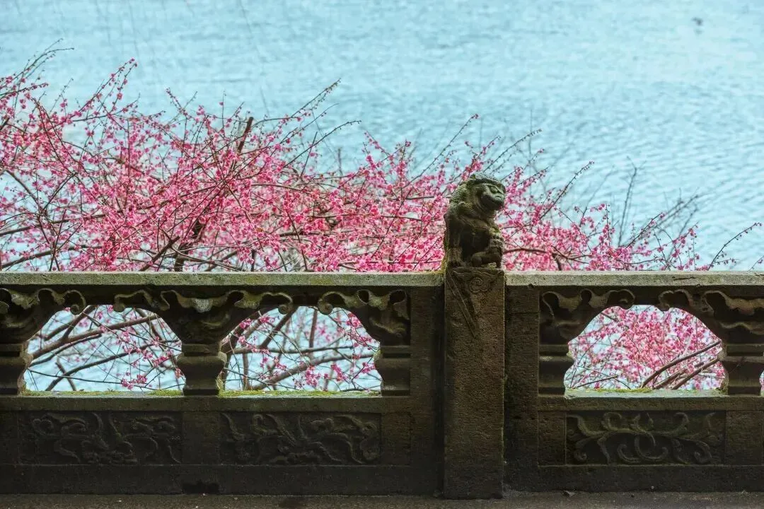 我读:刘过《六州歌头·寄稼轩承旨》