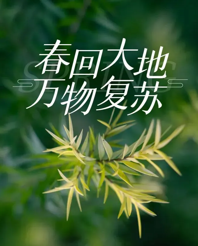 春天来了,你会想起哪些关于春天的经典歌曲?