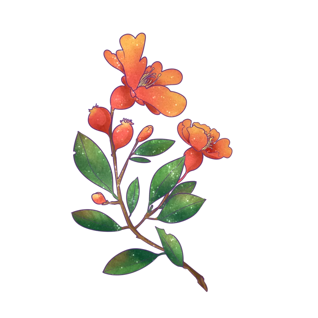 天法聚焦||新疆法院原创歌曲《阿娜尔》MV全网首发!绽蕊飘香,初心滚烫