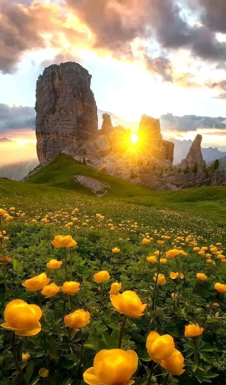 立春咏春歌春种