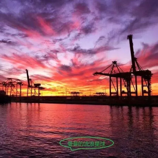 第三十一期歌曲征集发布——过年神曲