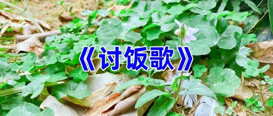 《讨饭歌》