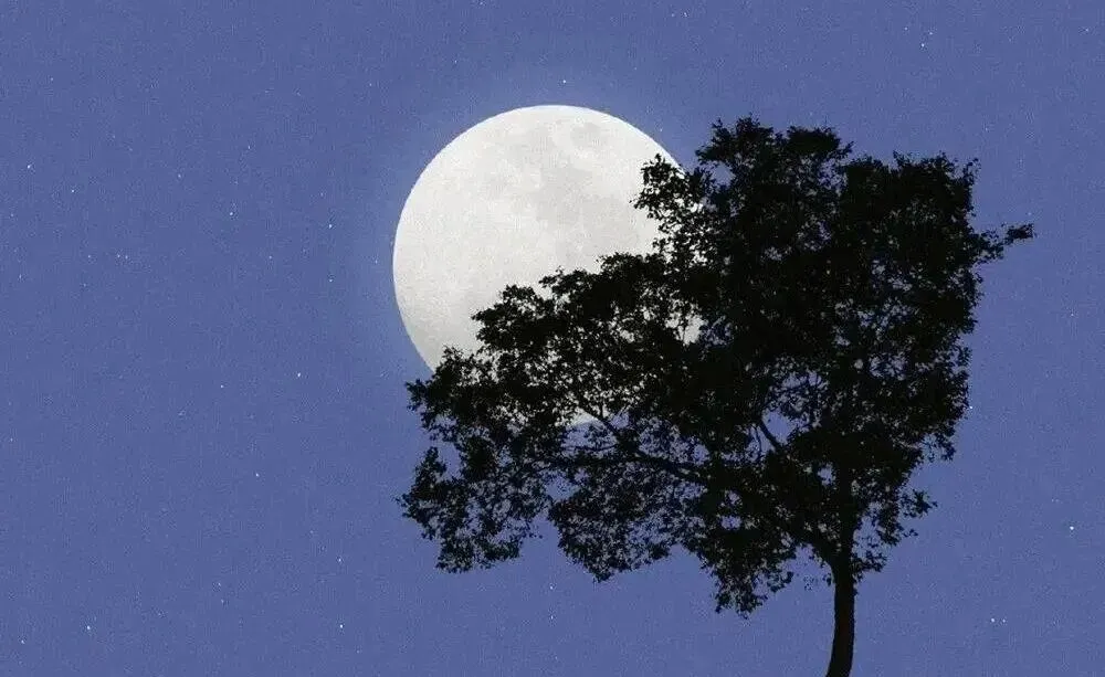 午夜梦回时,那些拨动心弦的老歌