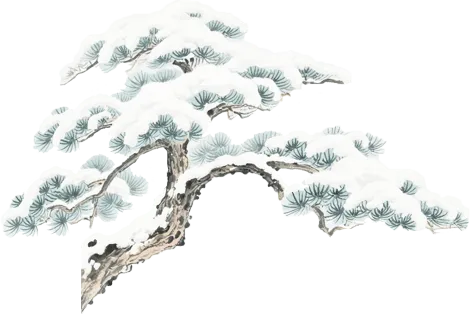 我们都在歌里找自己——《南山南》
