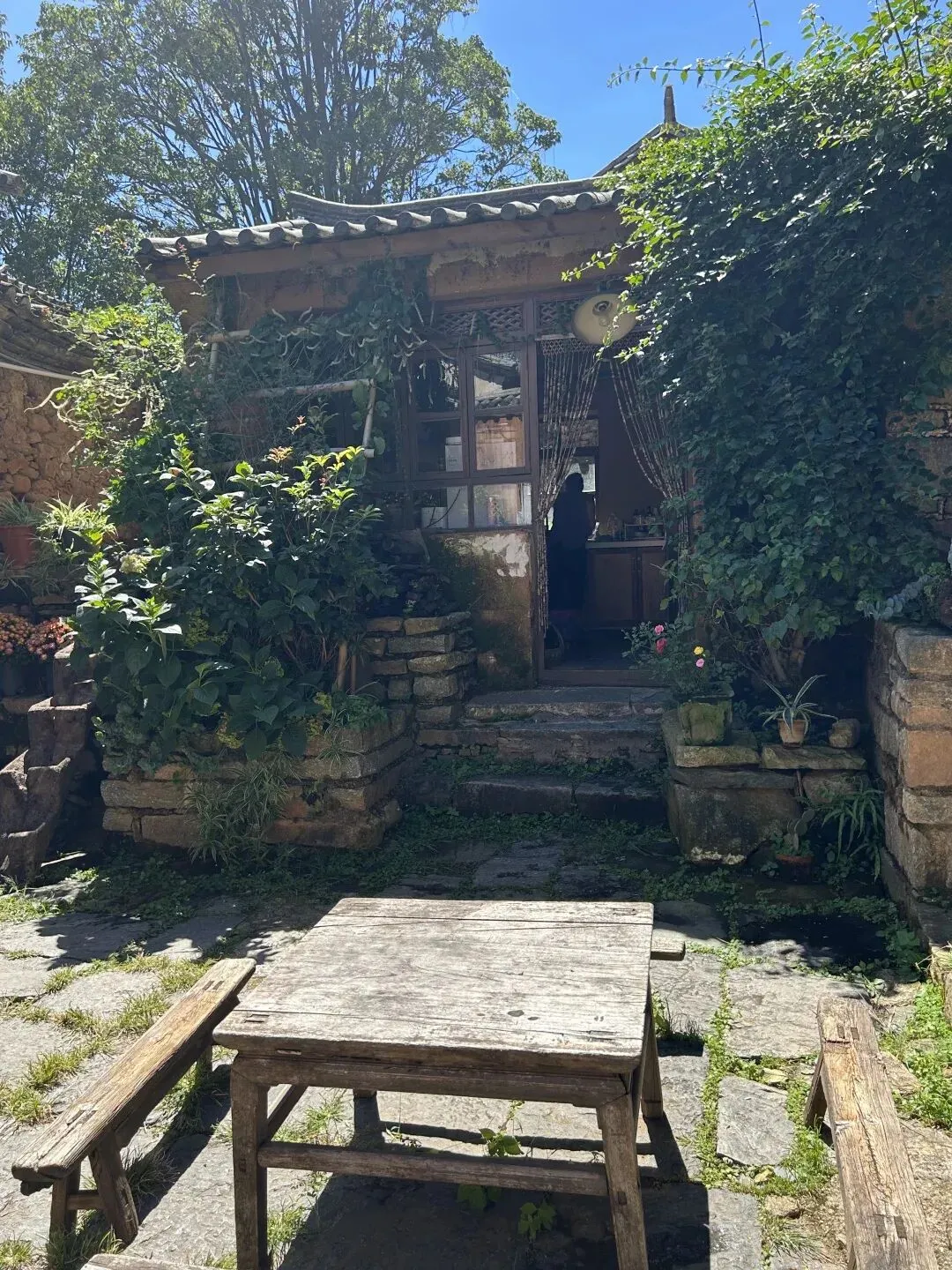 大理日记|凤阳邑的咖啡馆里放着老歌,每一句词都像是在说我