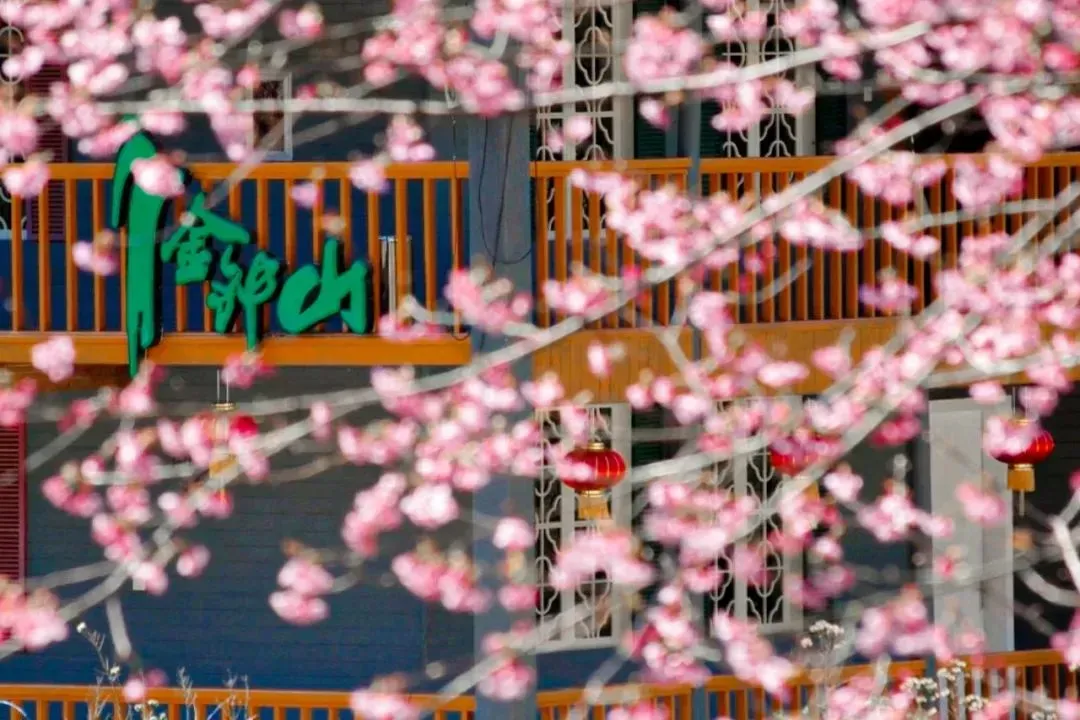 ��24号冰与火之歌:雾凇+玩雪+温泉️含2早2正【￥288桂北3日游】住金钟山森林温泉山庄!全州天湖森林公园、南溪山冬樱、象鼻山旅拍…