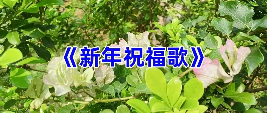 《新年祝福歌》