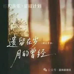 一首歌入了心