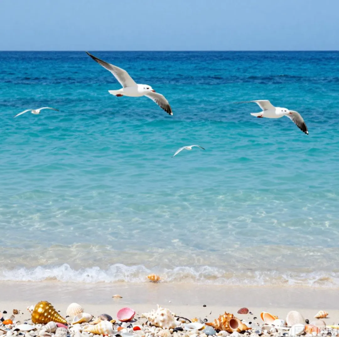 一首歌一个故事《听海》