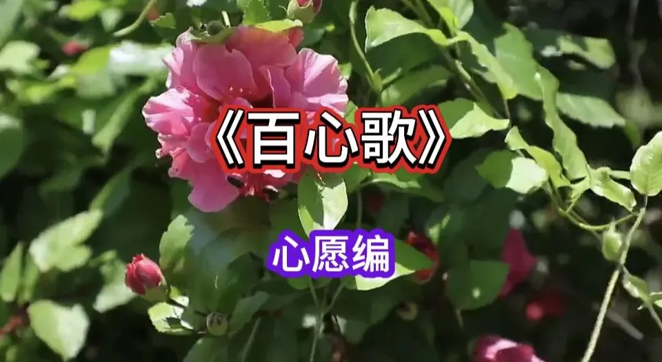 《百心歌》(心愿编)