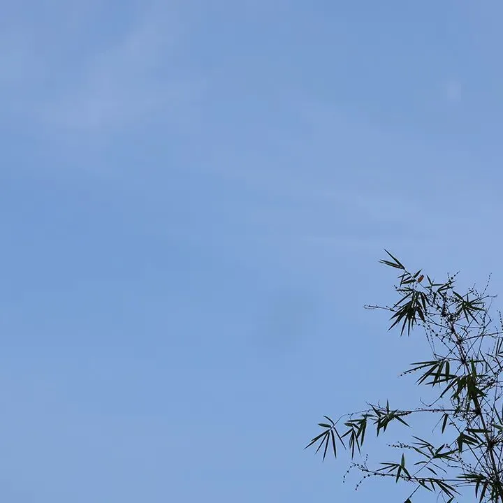 相逢是首歌作品【第500期】‖扬州,一个让你 圆梦的浪漫之都