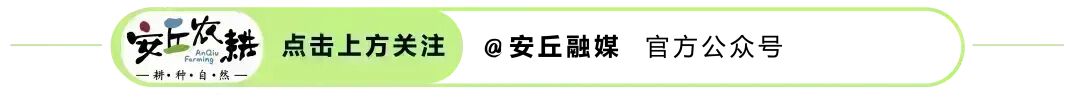 【新春走基层】潍坊安丘原创歌曲《我在景芝赶大集》