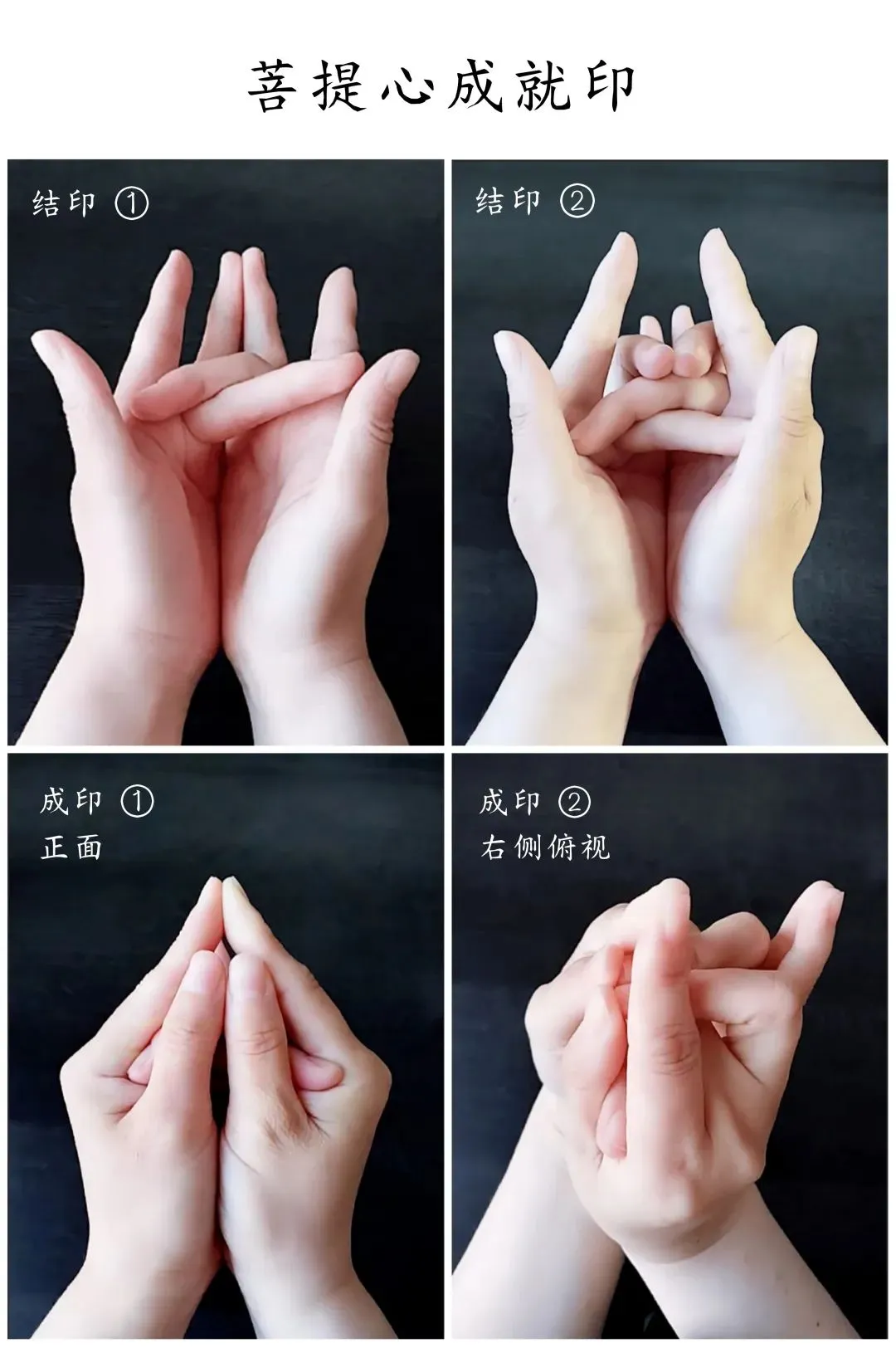 不动如来忏悔真言念诵和歌曲