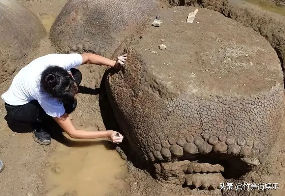 《岁月如歌 第一季:冥古宙——开局的N种死法》第四集