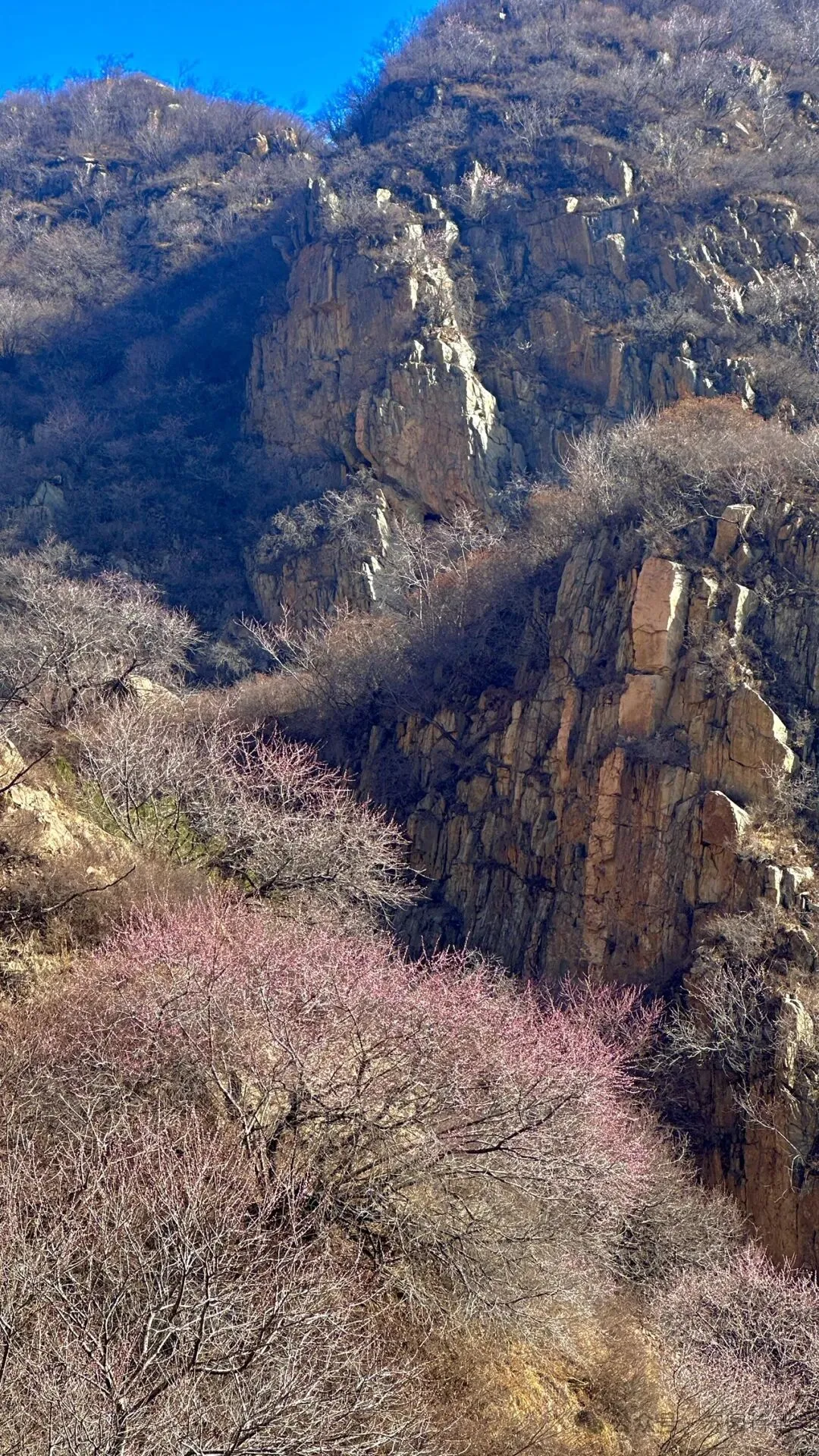 滴水崖之歌(七)|| 苏建斌