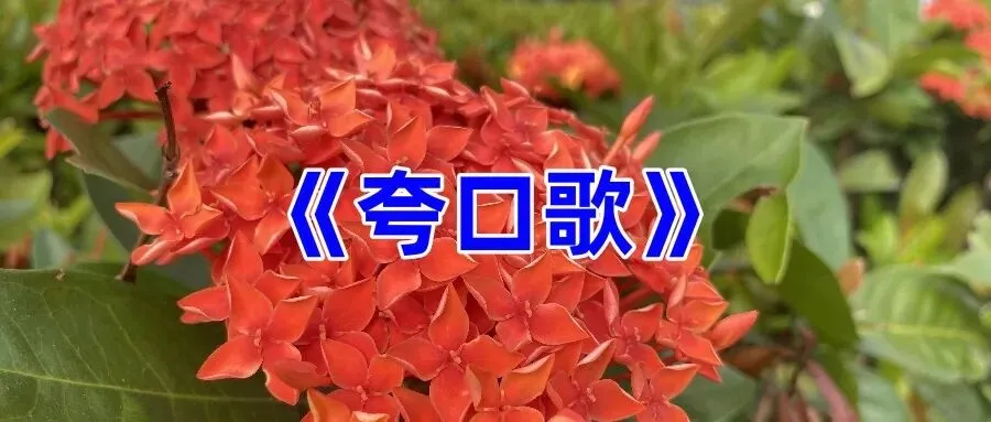 《夸口歌》