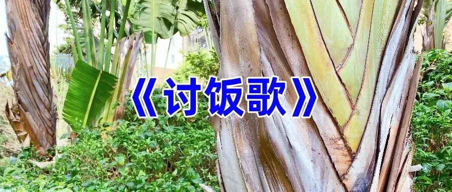 《讨饭歌》四句版