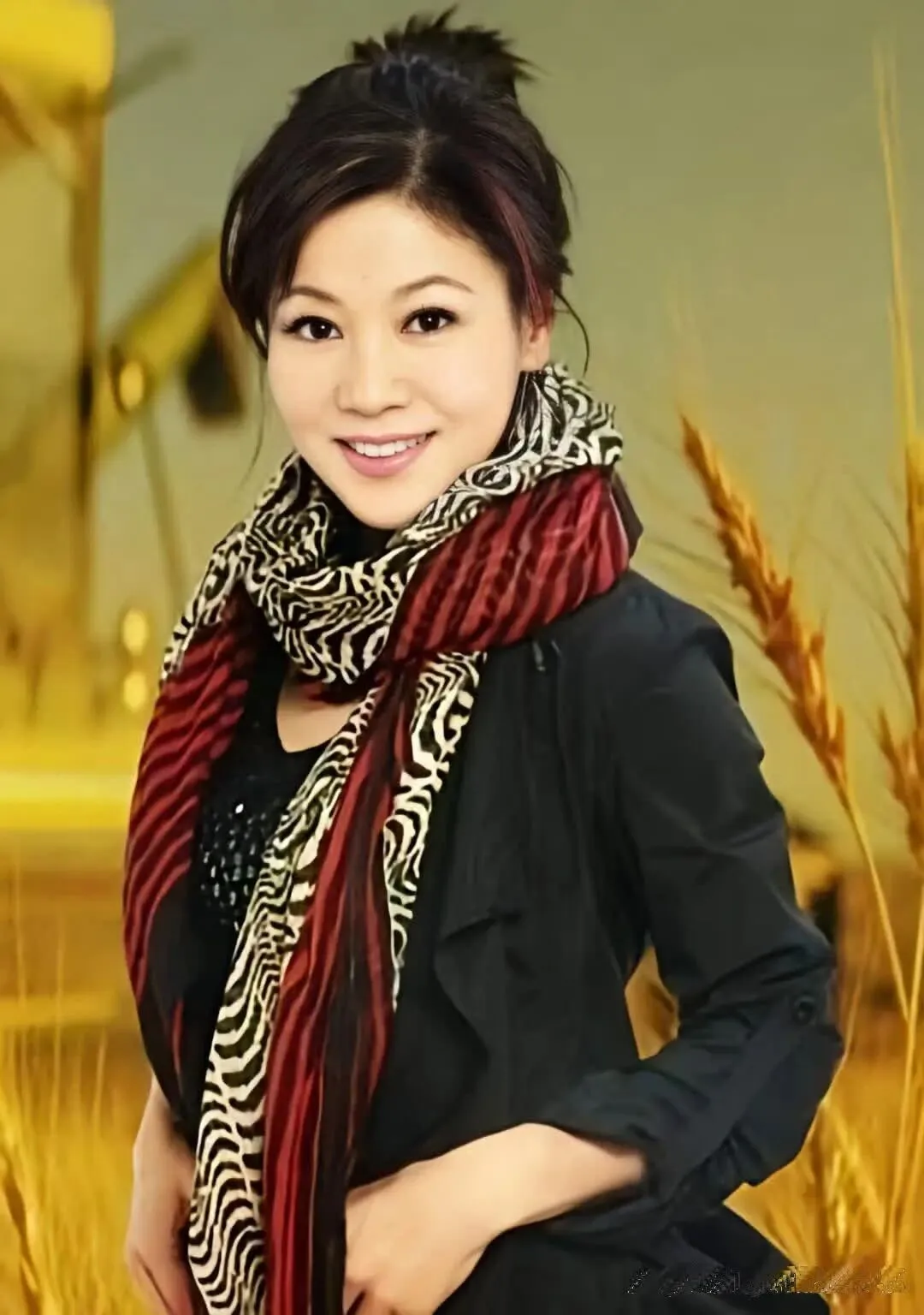 我听过你的歌——苏红专辑