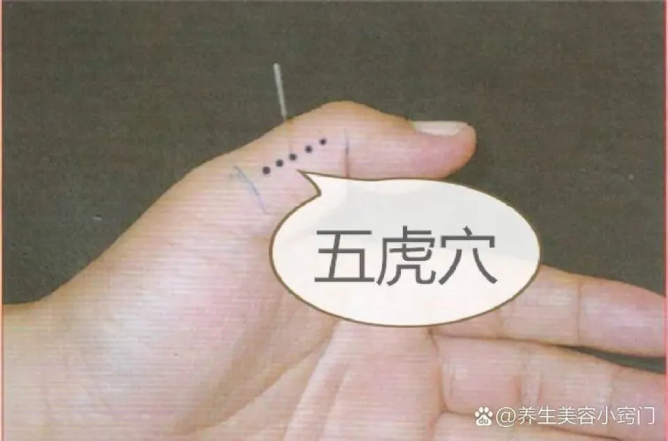 五虎穴保健养生歌