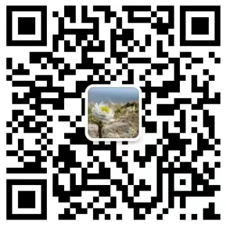 盲派十排歌全部