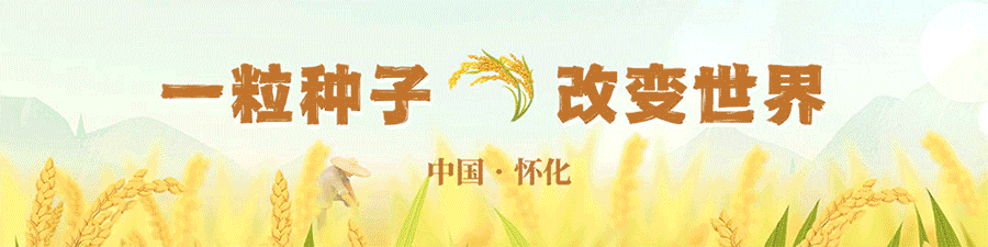 歌唱家张天甫原创歌曲《爱是永远的家》温情上线,唱响心灵归处