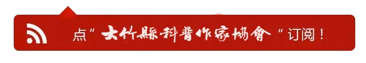 歌曲|词:张运东、曲:朱利民:我爱你赞你,竹的故乡