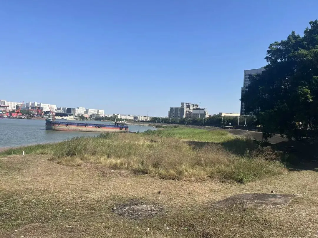 没有关注的歌姐可以关注一下呀 准备开始更新啦