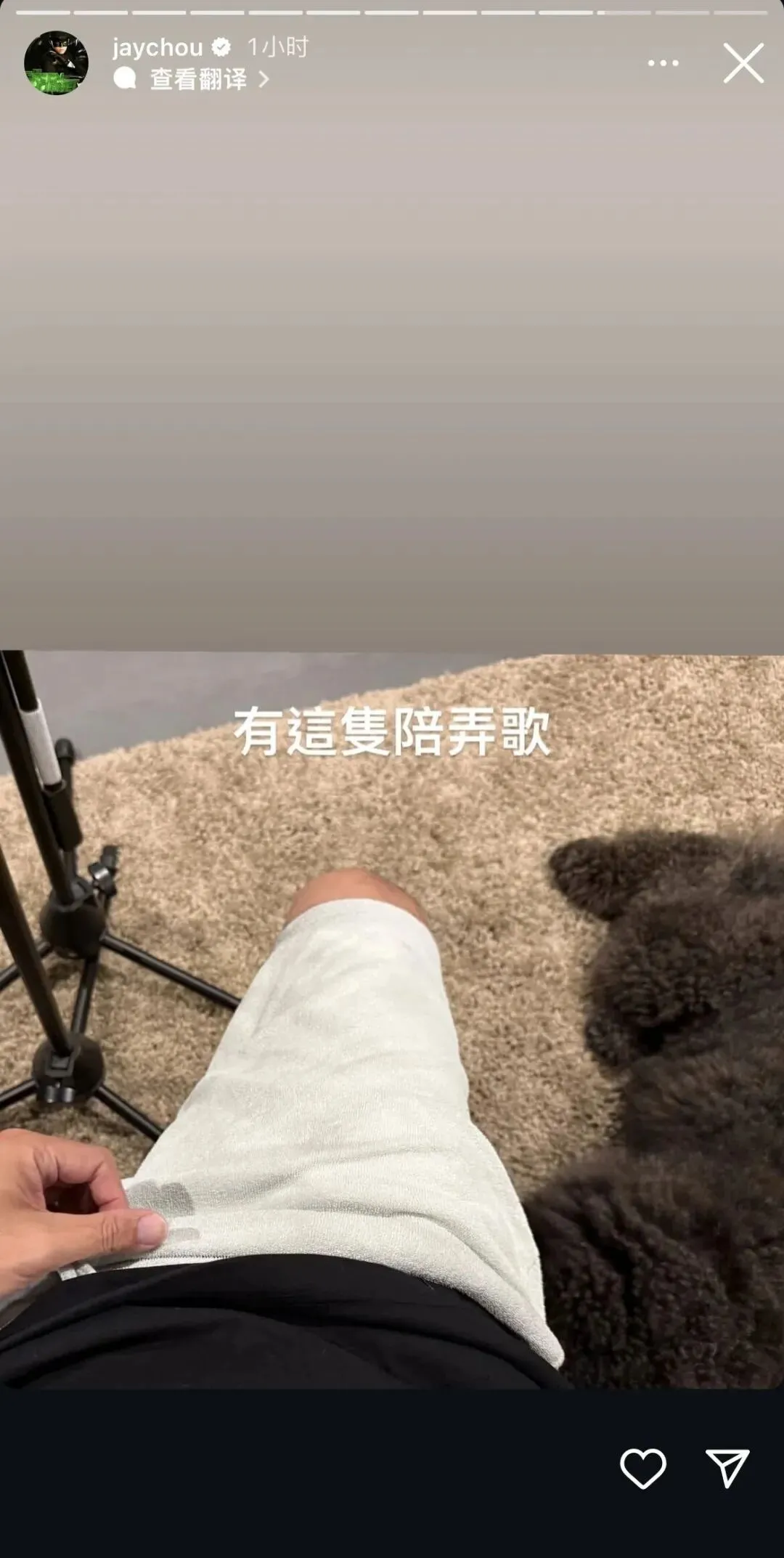 周杰伦录歌的一天:有这只陪弄歌 是太好听了还是太舒服