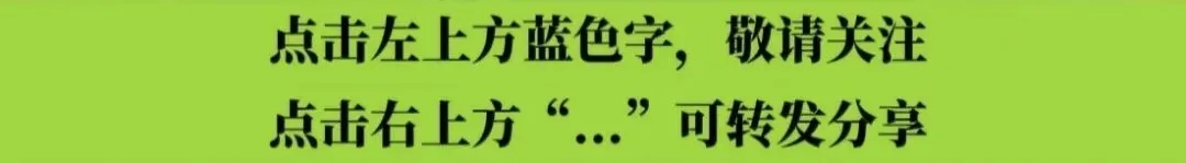 用生命谱就“雷锋之歌”——“辽宁时代楷模”金城龙系列报道②