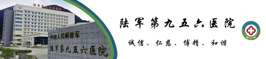 雪域文苑丨歌曲《云端的约定》