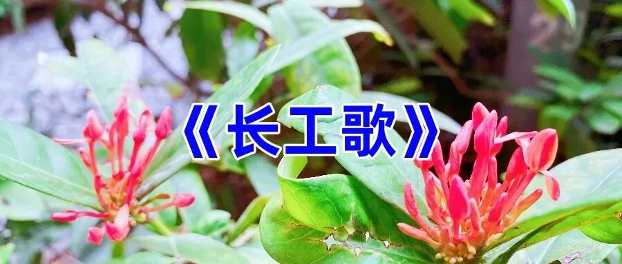 《长工歌》五句版
