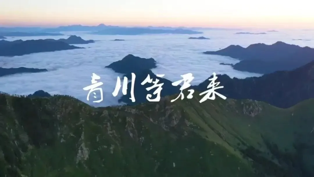 歌词(原创歌曲) 青川等君来