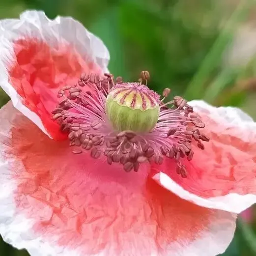 有没有那么一首歌,会让你想起一个人