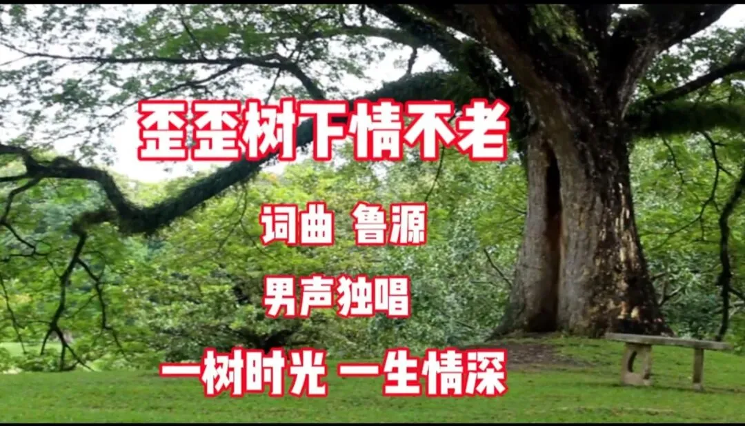 原创歌曲《歪歪树下情不老》完整版视频MV上线啦!作家鲁源的创作感言