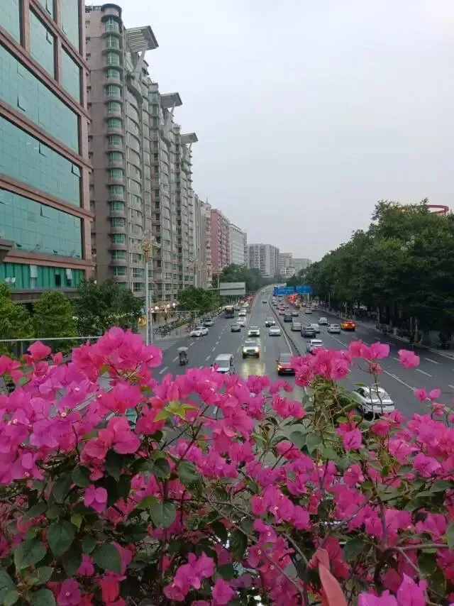 岁月如歌,愿你笑容灿烂