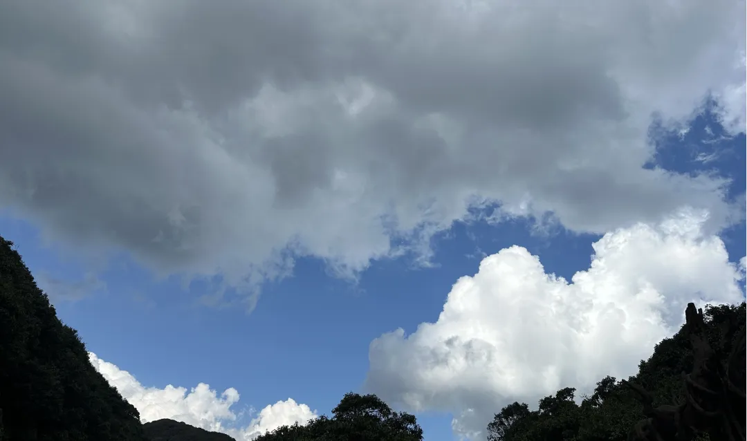 灵河岸|不闻永昼哀牢歌