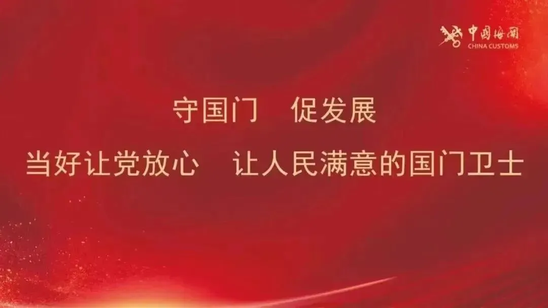 风正扬帆 尚行致远|歌曲串烧《青春奔赴》