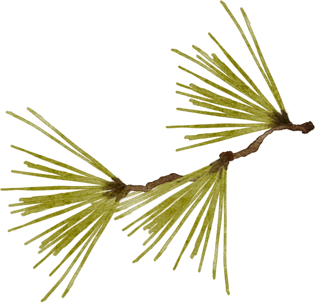 【人间琳琅】歌与假期皆不负