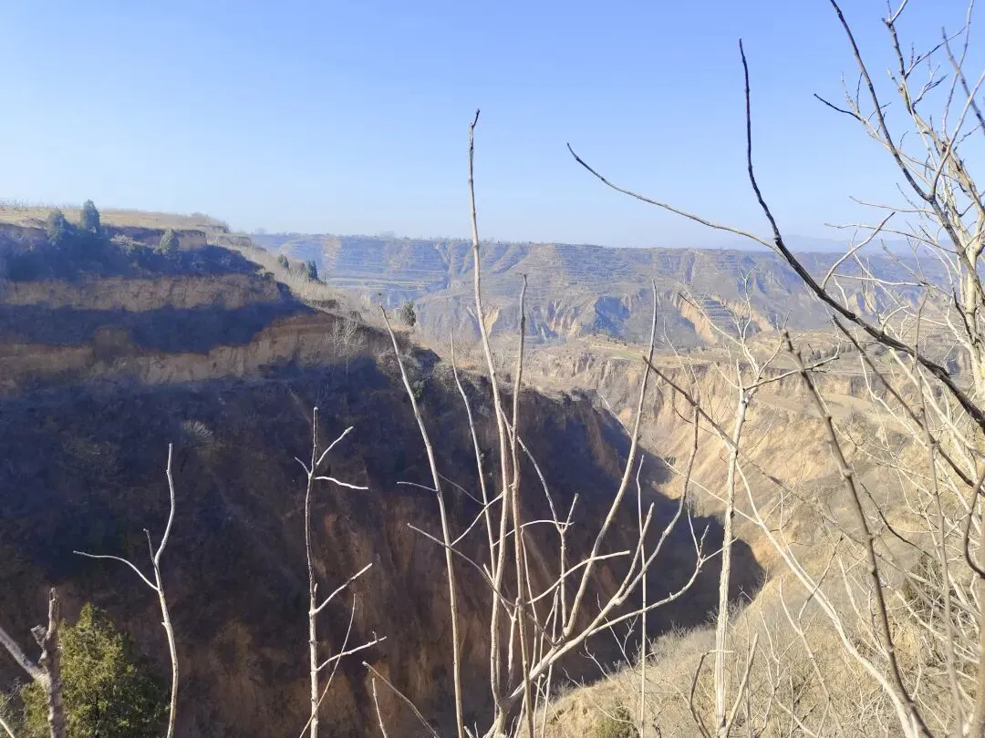 《黄土高坡》这首经典老歌,是否还有人记得呢?那千里之外的黄土地,承载着独特的情思.