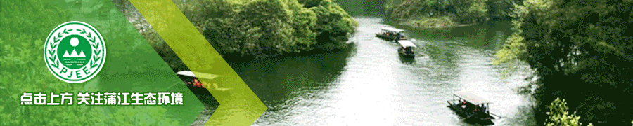 新时代长江之歌:十年守护 见证绿色蝶变