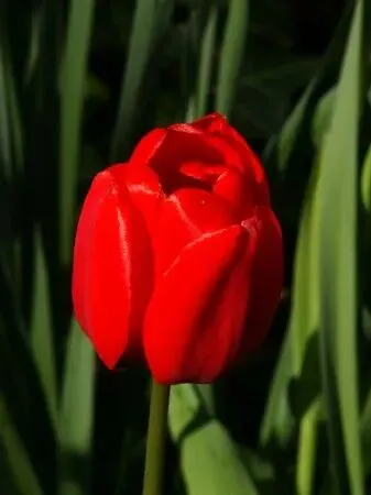 人生何处不相逢(歌曲)