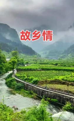 【歌曲歌词】余荣莹:故乡情(歌词)