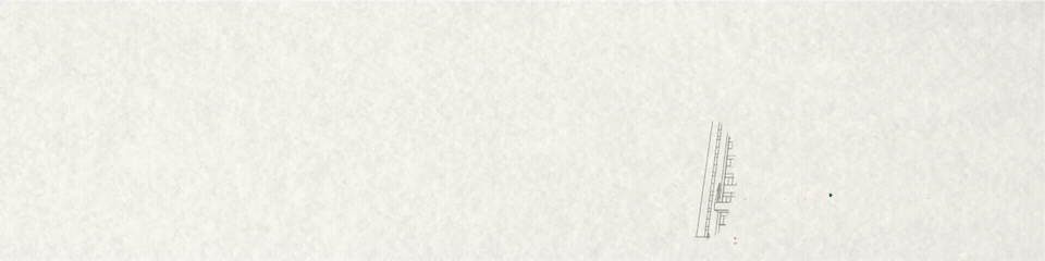 岁月如歌,少年依旧 ——致广东高州中学初中校区全体校友