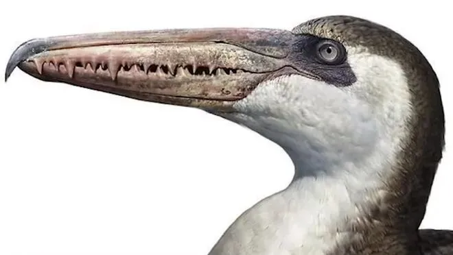 《岁月如歌 第二季 太古宙——蓝星革命》 第五章