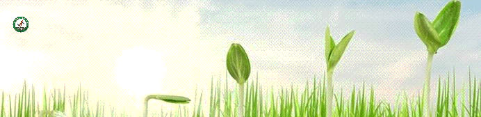 【策马向春 生命如歌】八公山区第一中学给大家拜年啦!