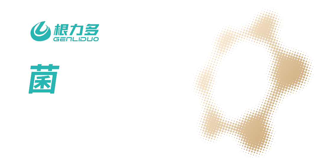 【视频】根力多之歌