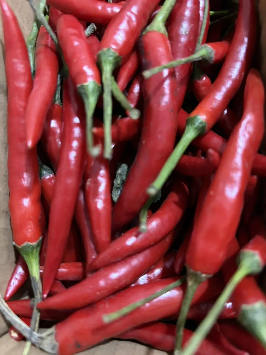 云南文山小米椒-弋扬歌诗·二胡之我见-弋扬语录