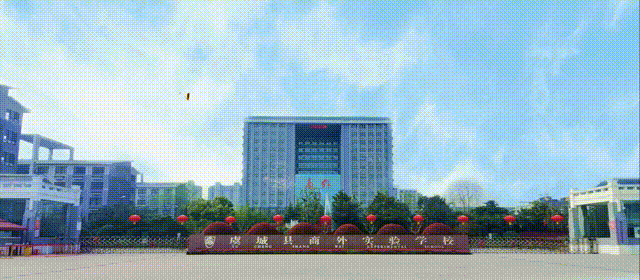 瑞马迎春歌盛世,同心筑梦启新程