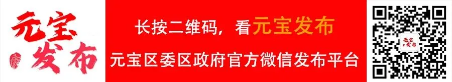 【喜迎新春】2026贺岁歌曲《雪花飘过百花开》上线啦
